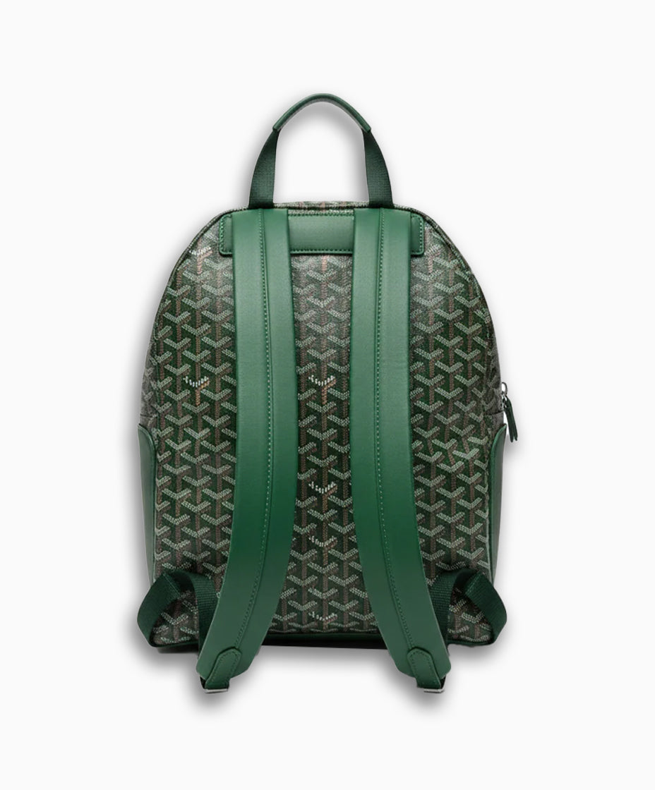 Goyard Monogram Backpack – Green Edition